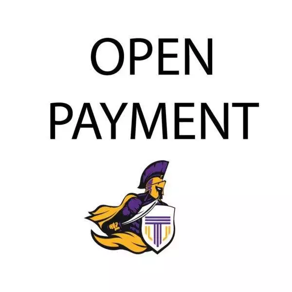 Open Payment - Pay Invoice