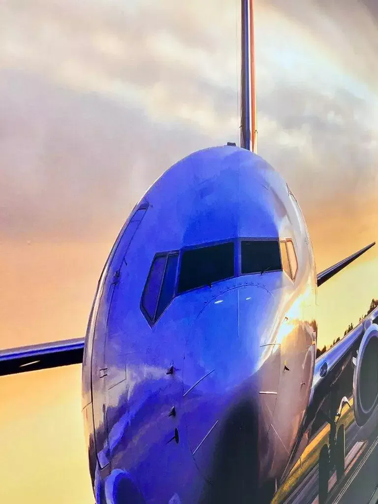 Kls Boeing Airplane Vinyl Wall Mural (1)