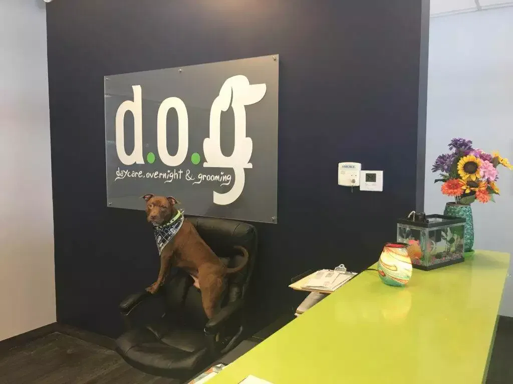 Printed Acrylic Stand Off Signs Printed Stand Off Acrylic Sign 22