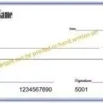 Giant Checks