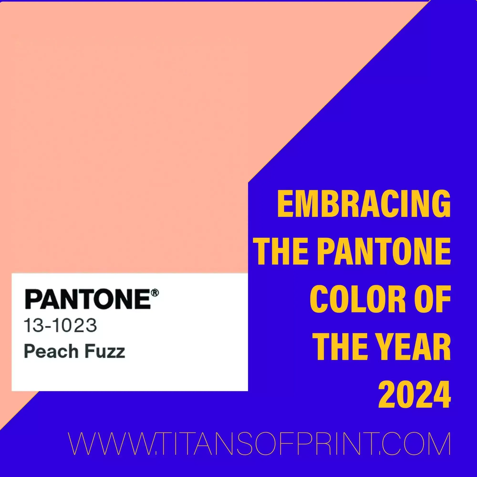 Embracing The Pantone Color Of The Year 2024 Scaled
